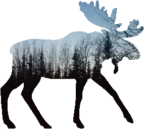 shasta2021may16th47moose804io.png