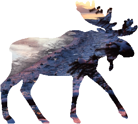 shasta2022sept1st47mymoose804io.png