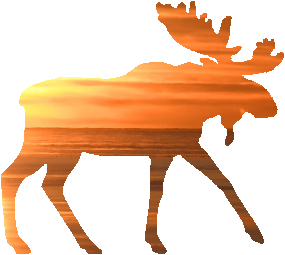 shasta2022dec25th47mymoose804io.png