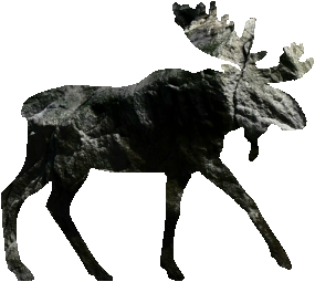 shasta2022april12th47mymoose804io.png