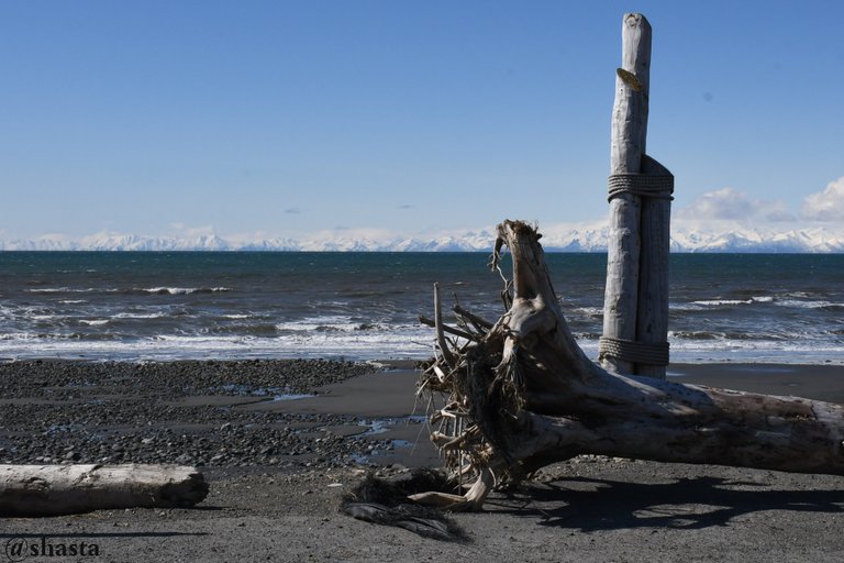 shasta2021aug30th47driftwood4io.jpg