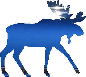 shasta2021sept10th47mymoose804io.png