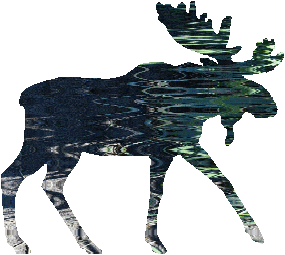 shasta2021oct15th47mymoose804io.png