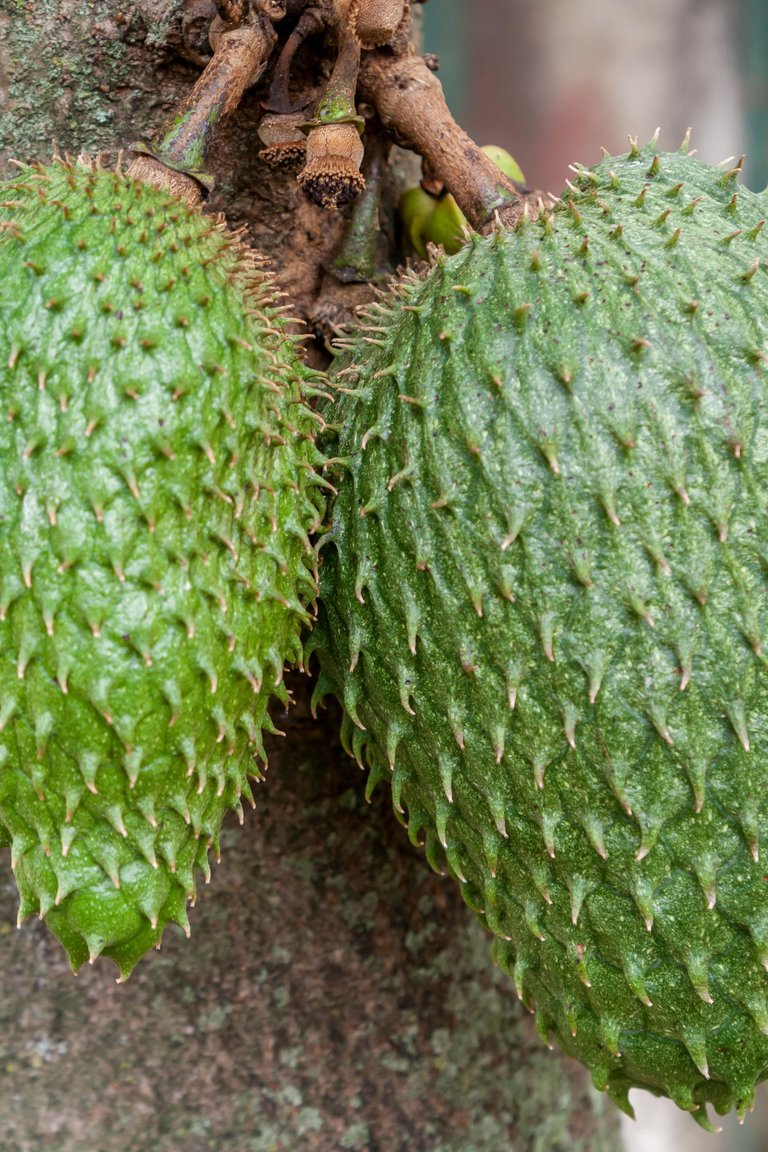 pexels-arturoaez225-18772035.jpg