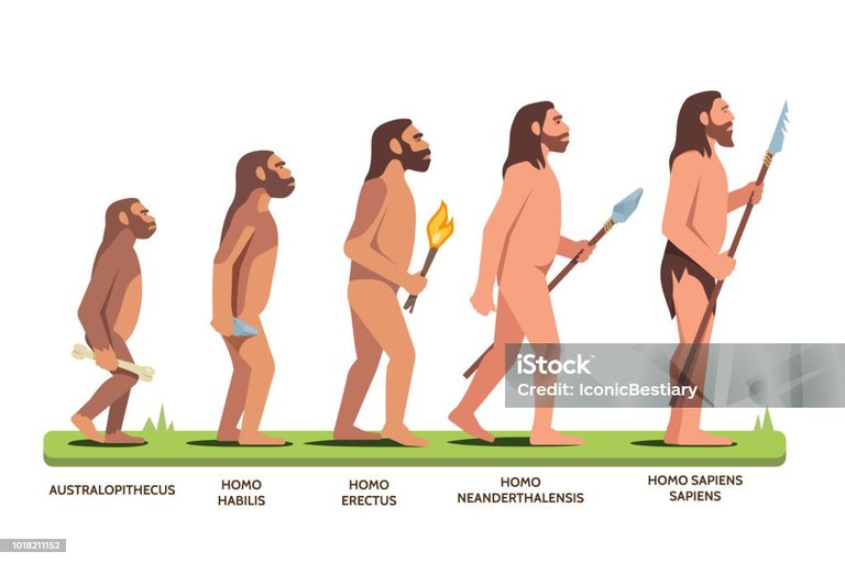 istockphoto-1018211152-1024x1024.jpg