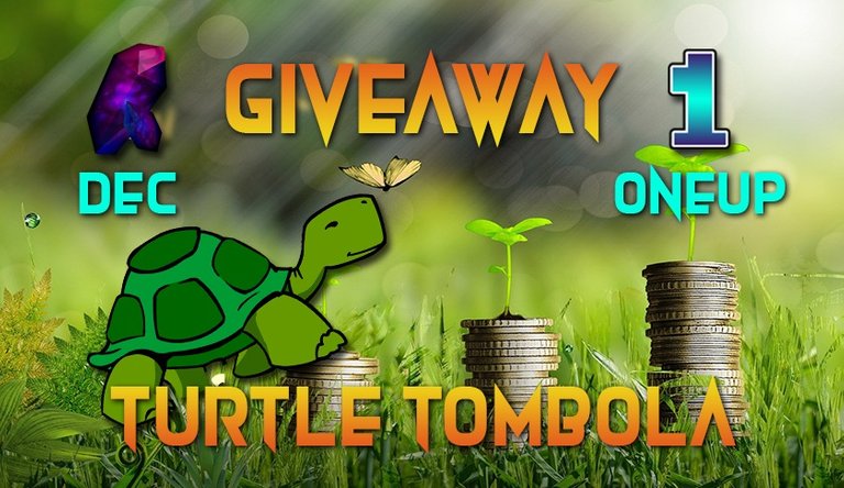 Turtle-Tombola.jpg