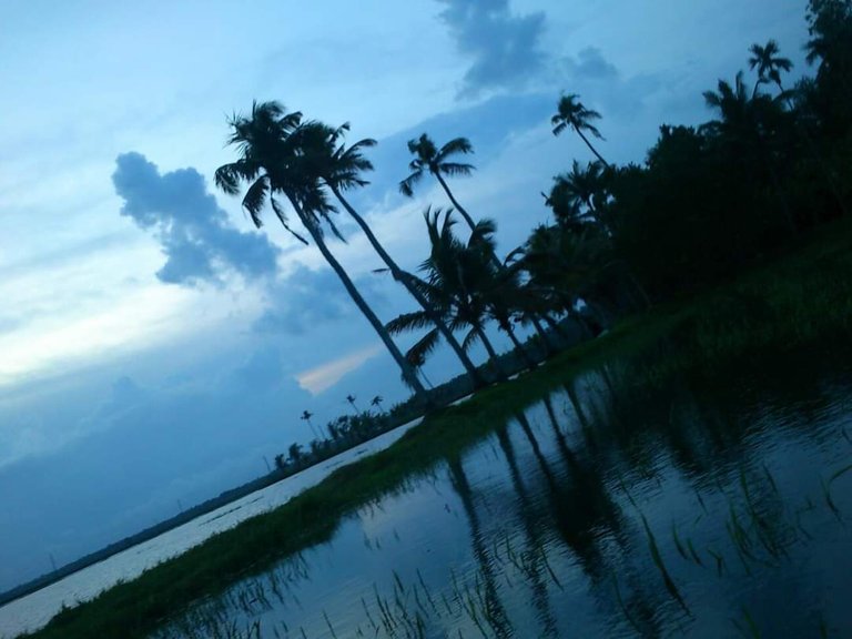 kerala evening.jpg