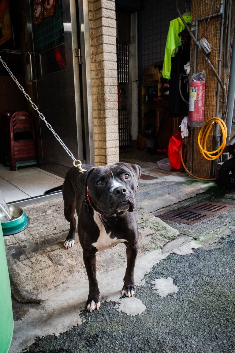 20230527-RICOH GR III-R3000317.jpg