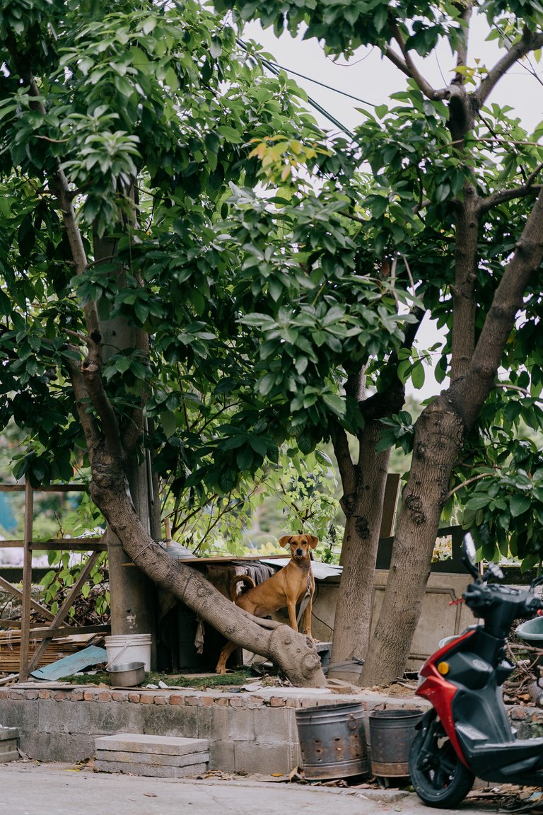 20201024-ILCE-7M3_A733017.jpg