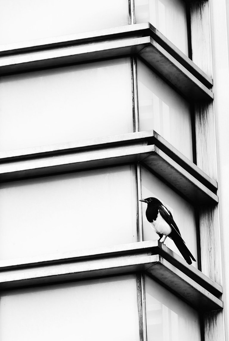 IMG_20250707_125101 (1).jpg