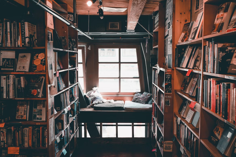 [EN/PT-BR] Education and literacy to free your mind!
