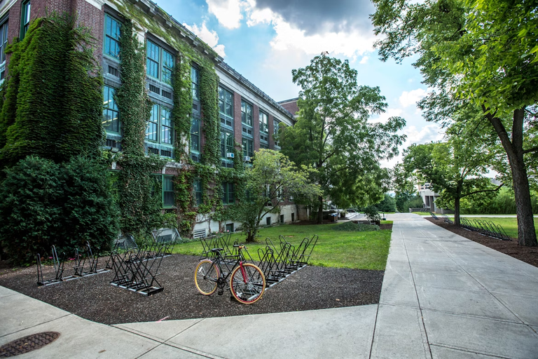 [EN/PT-BR] Colleges/Higher Education have lost momentum, but I still think they're a good investment for your life.