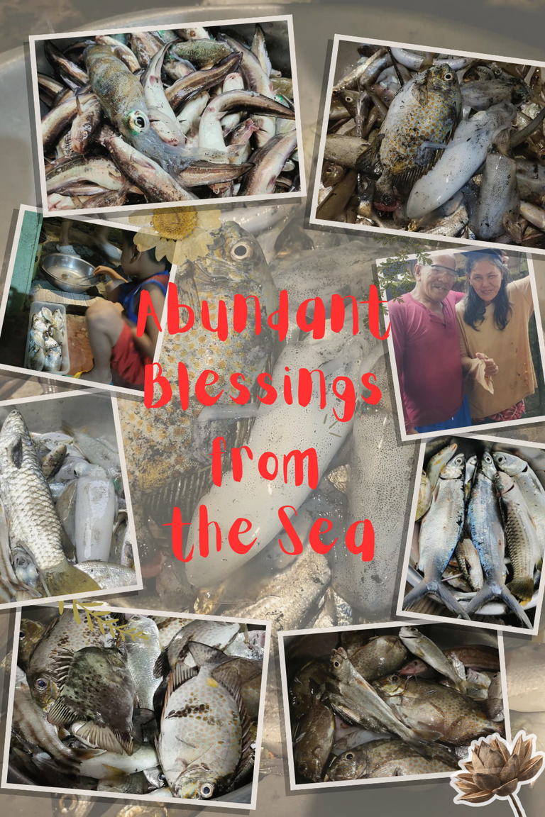 Abundant Blessings from the Sea ❤️🙏