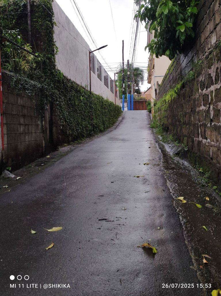 A Walk in Cavite After the Typhoon