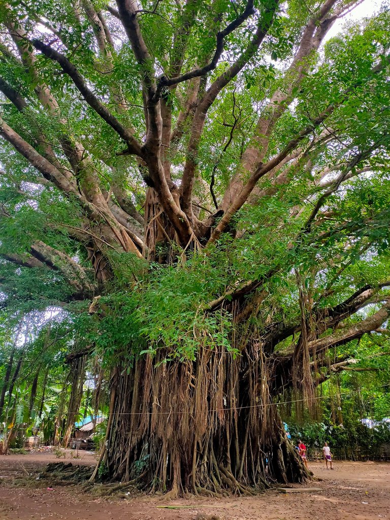 balete story final 1.jpg