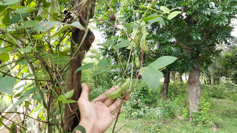 IMG20250623094320.jpg