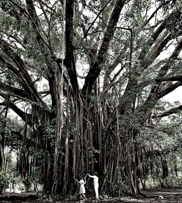 balete story final 2.jpg