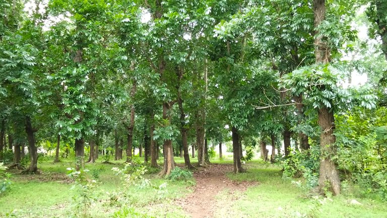 IMG20250623095057.jpg