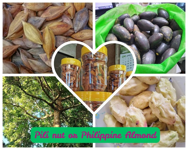 Pili nut or Philippine Almond.jpg