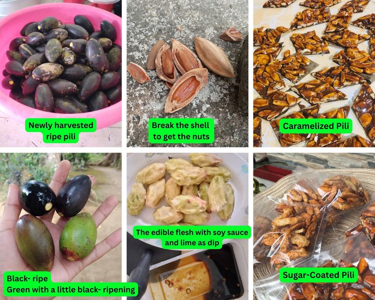 Pili nuts.jpg