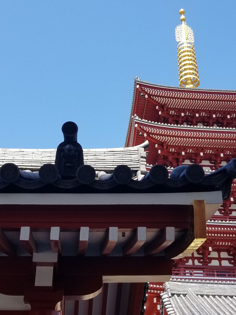 20180428_093331.jpg