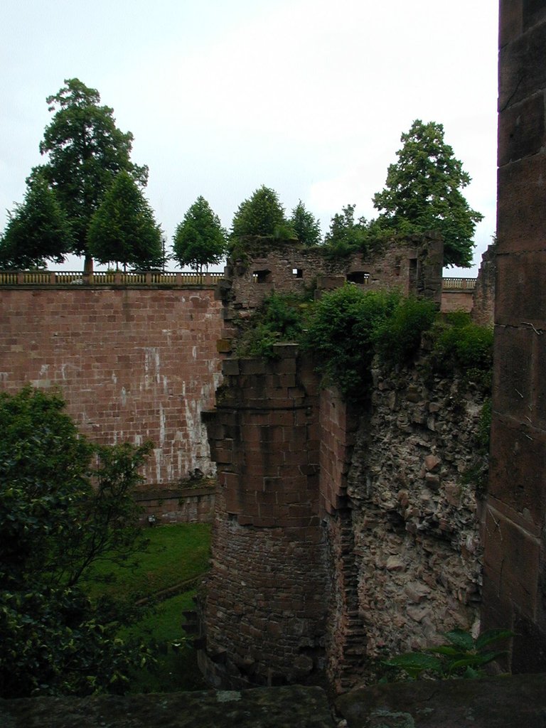 148-Schloss Heidelburg architecture.JPG