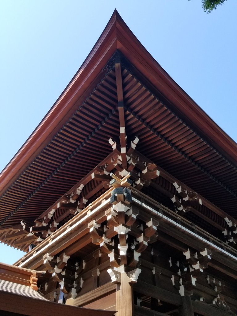 20180428_144623.jpg