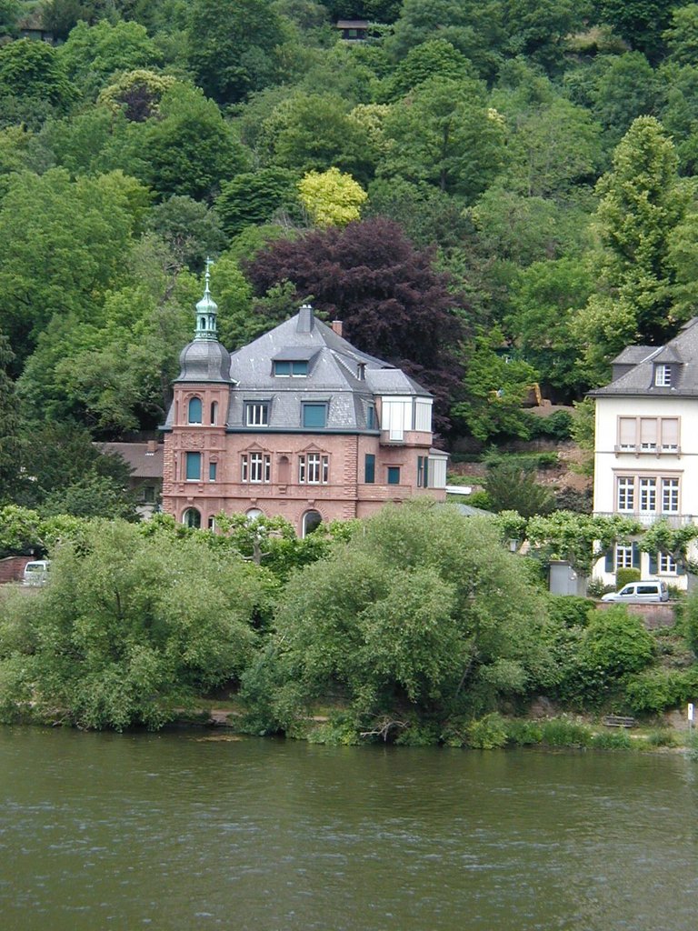 165-House in Heidelburg.JPG