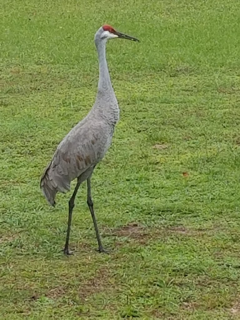 20191225_082604.jpg