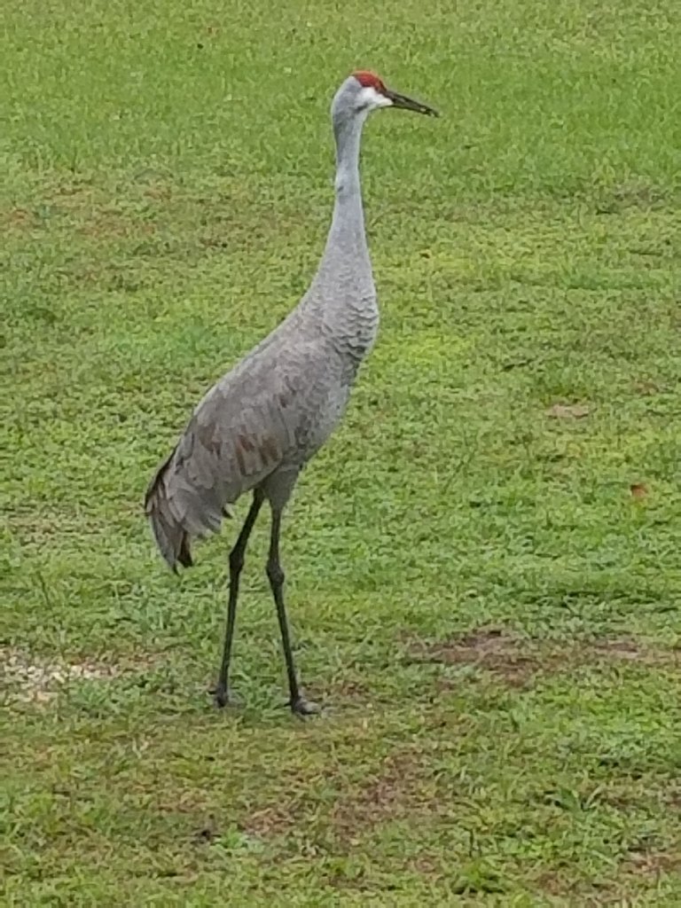 20191225_082554.jpg