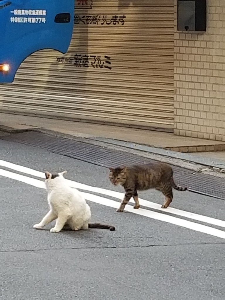 20180429_062801.jpg