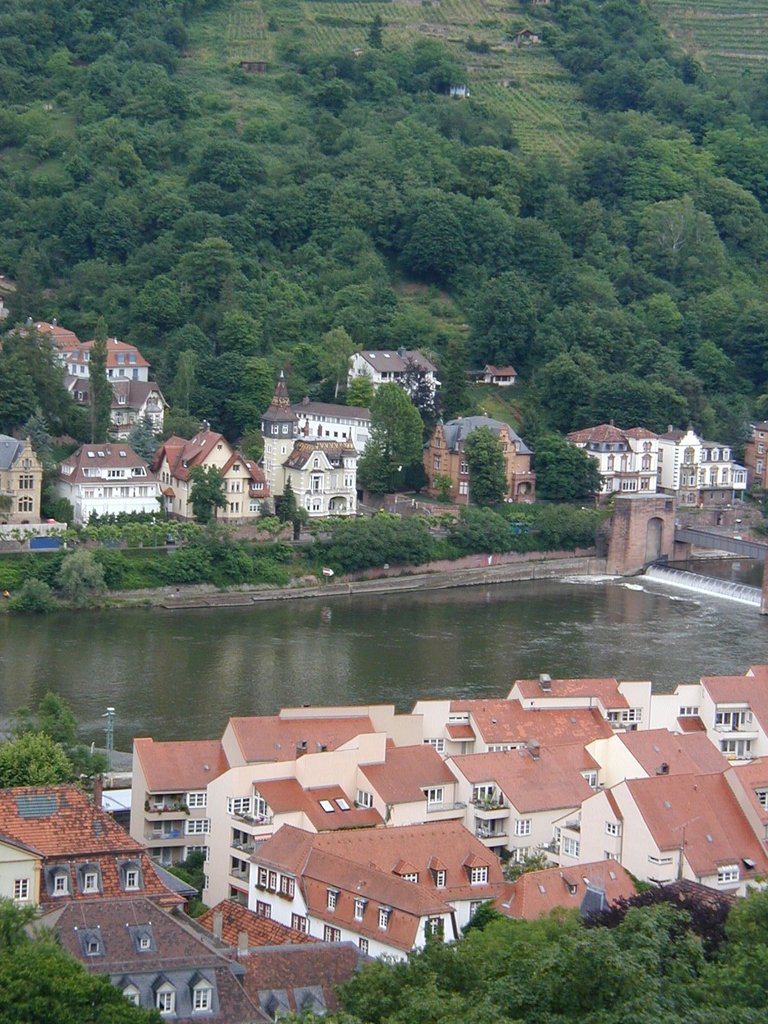 140-View of Heidelburg from the castle.JPG