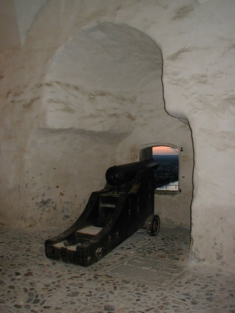 044-One of 3 cannons.JPG