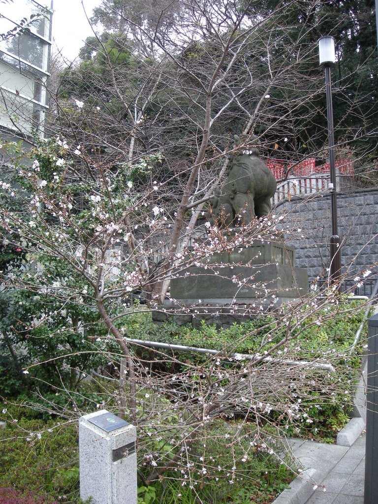 195-Hie-jinja sakura.JPG