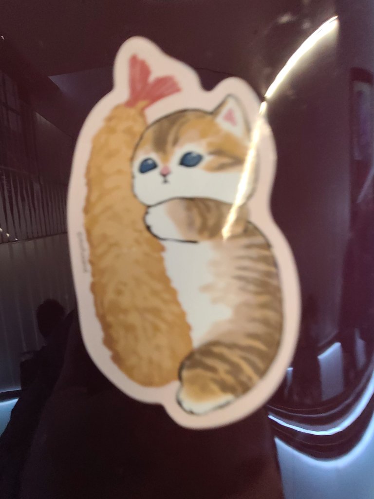 j001-Cat Hugging Shrimp Tempura on a Violin Case.jpg