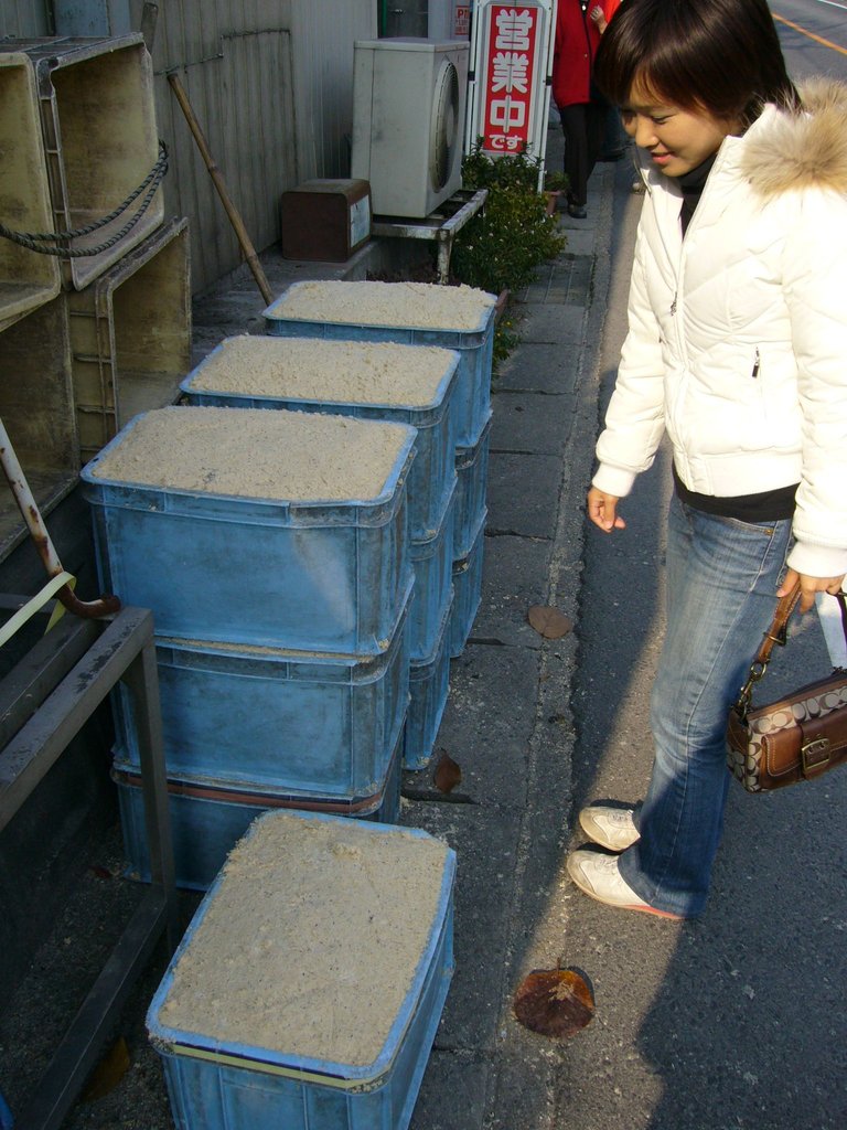 415 - Iyumi looks at tofu in process outside our lunch spot.