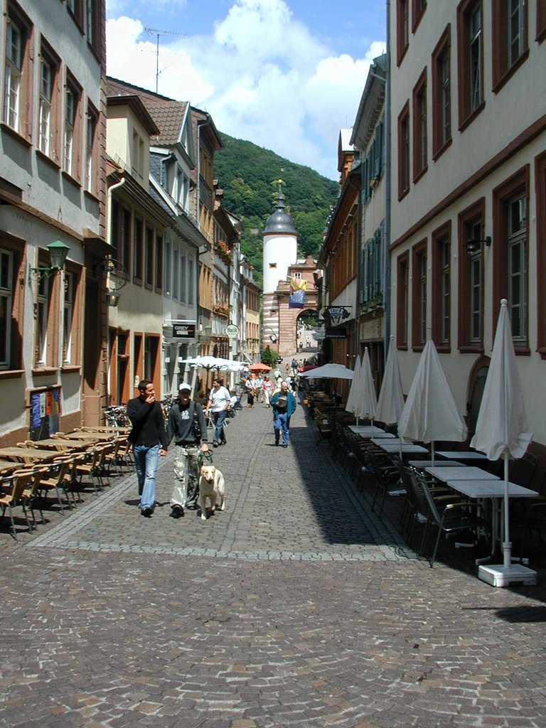 157-Road to the bridge in Heidelburg.JPG