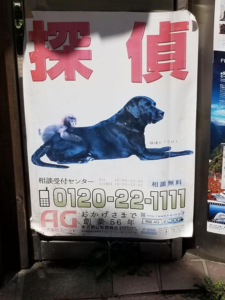 20180428_095437.jpg