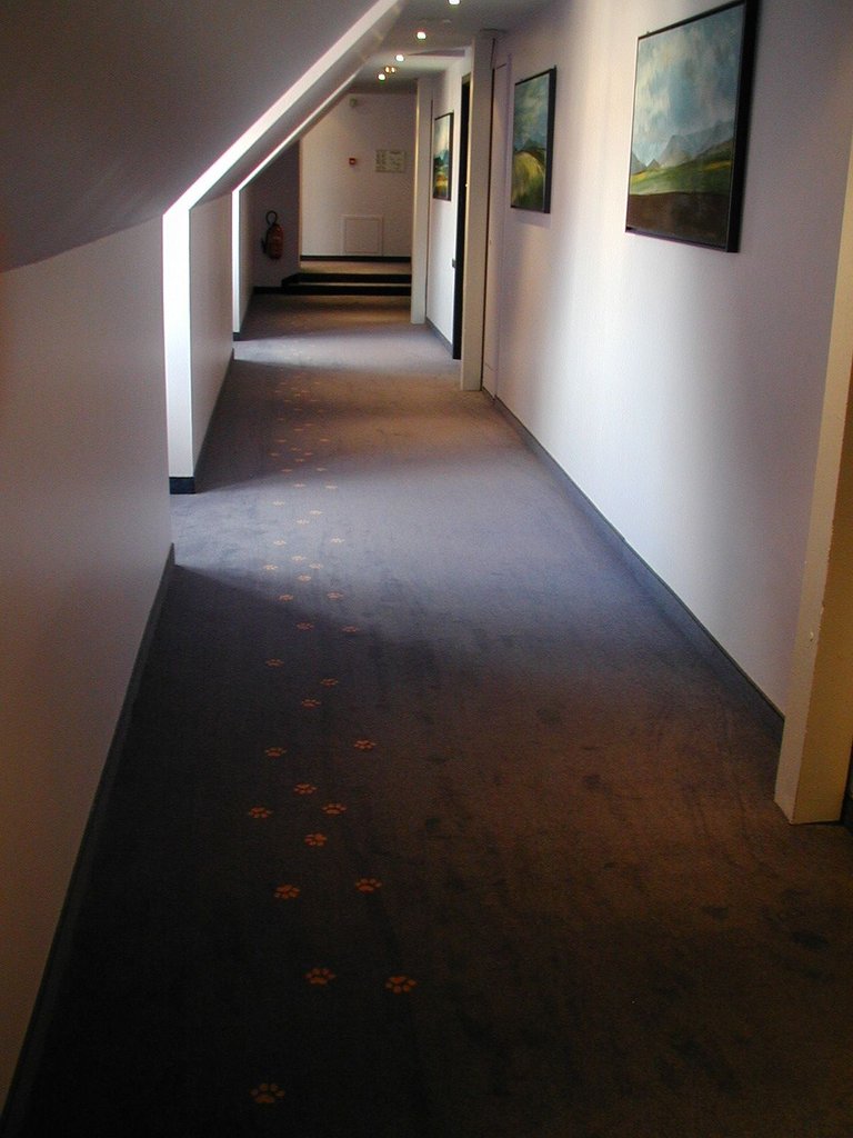 210-Hallway to room in Strasbourg.JPG