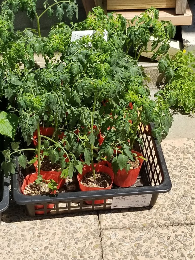 20180428_101800.jpg