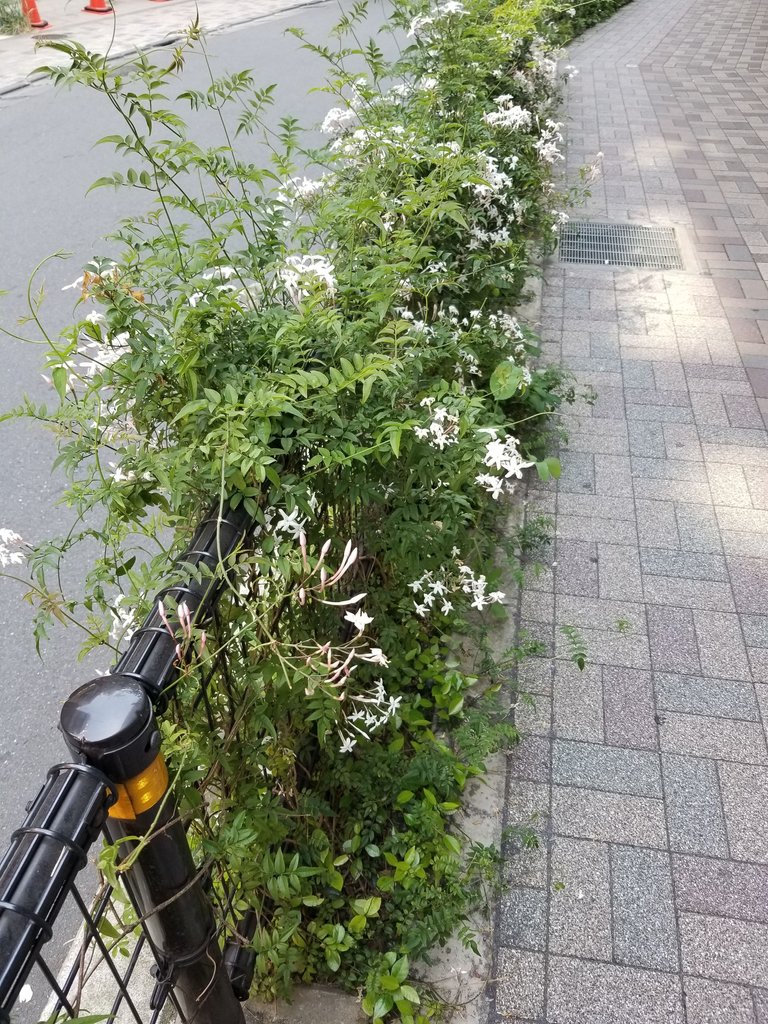 20180428_131218.jpg