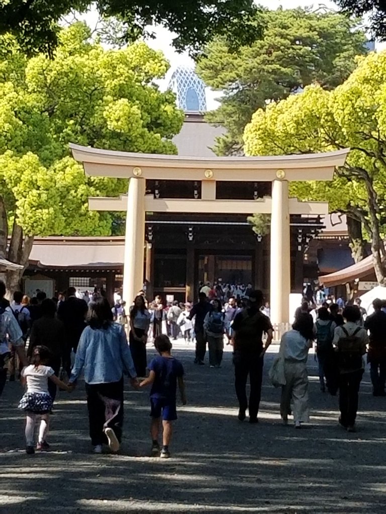 20180428_144351.jpg