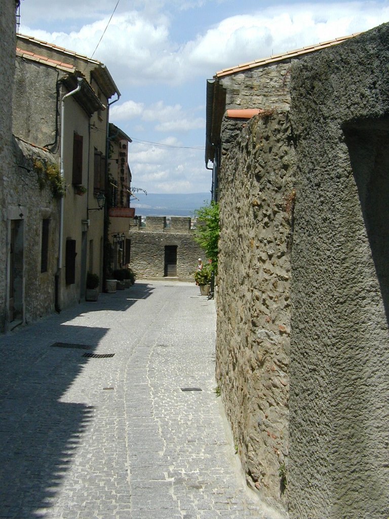 120-Street in Carcassone overlooking city.JPG