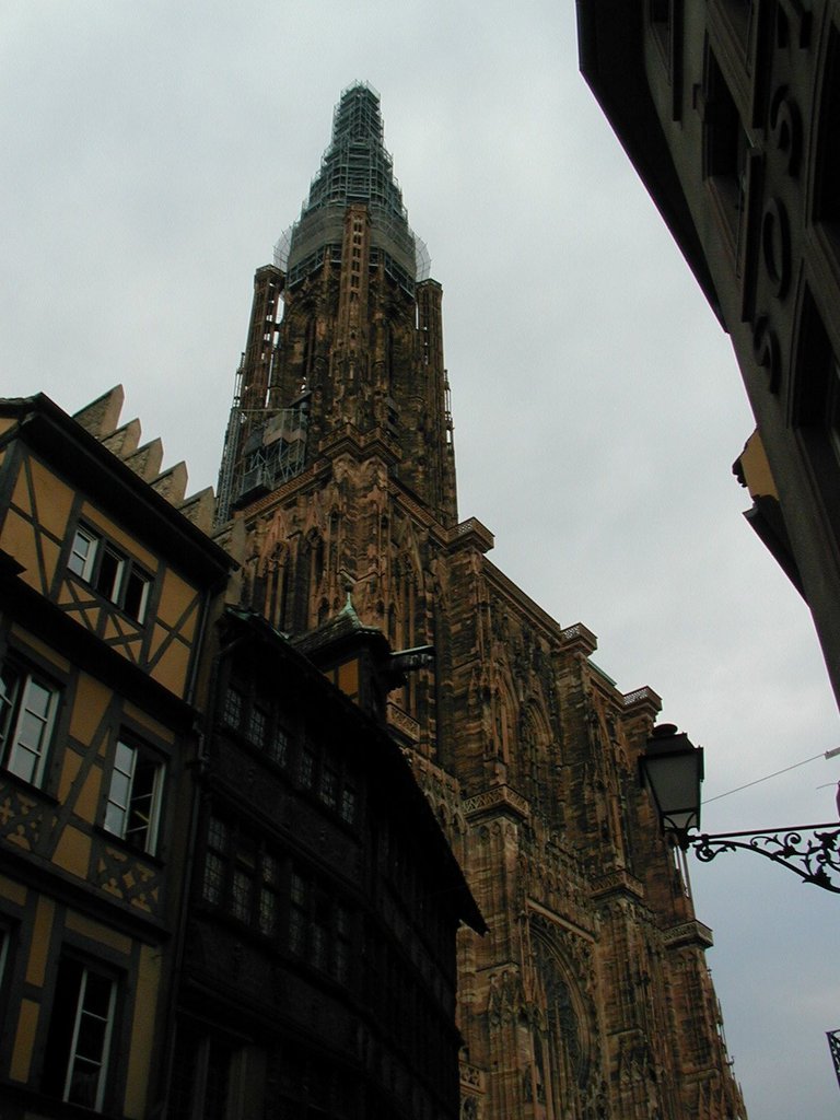 217-Top of the large church in Strasbourg.JPG