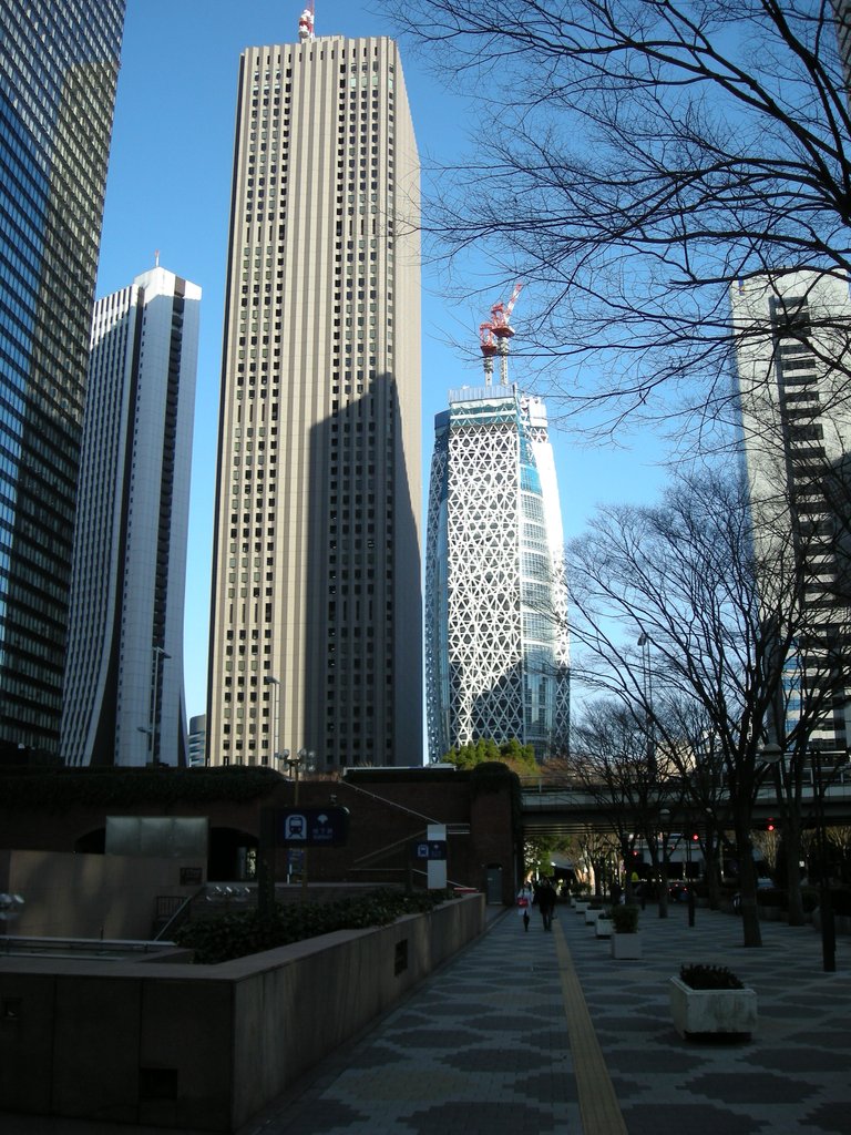 173-Shinjuku skyline.JPG