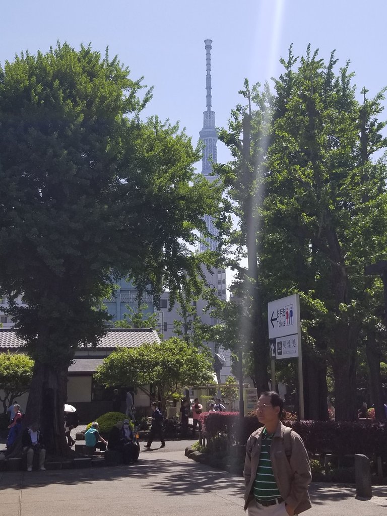 20180428_094241.jpg