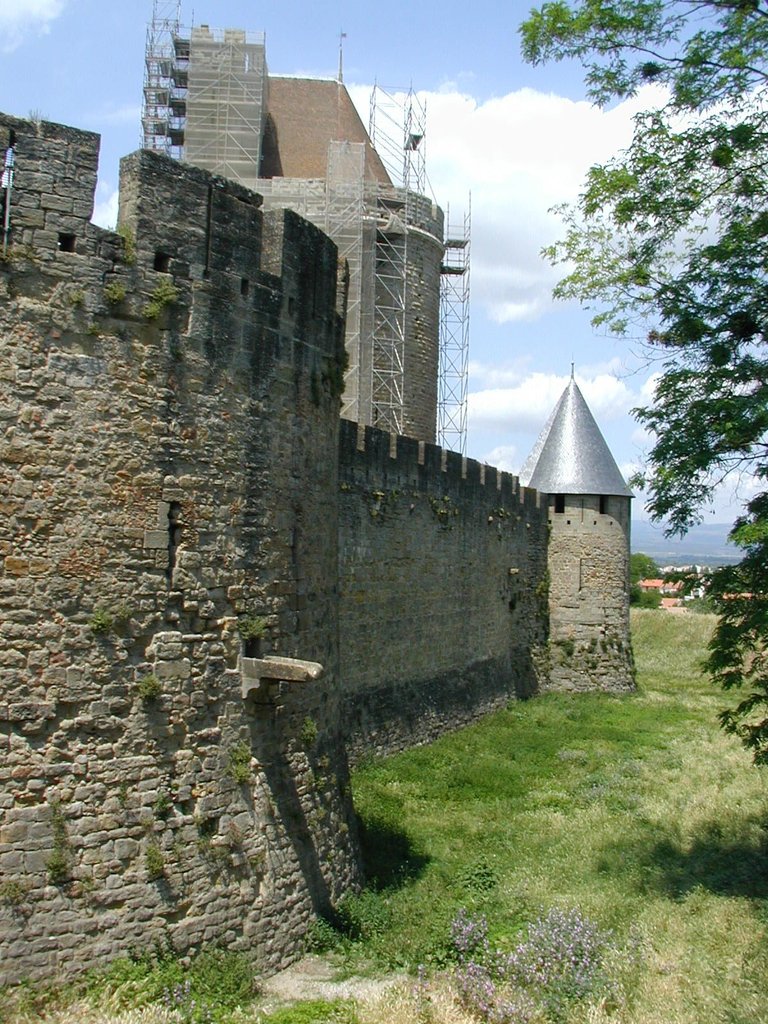 115-Carcassone renovation and mote.JPG