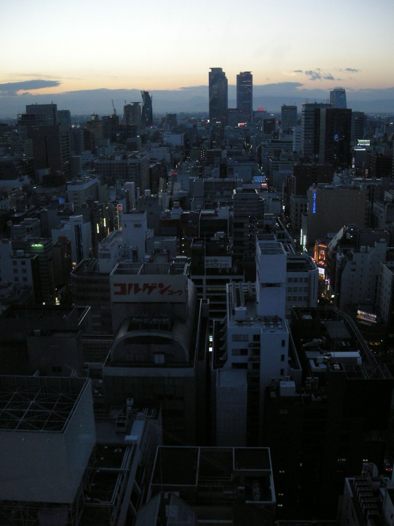 064-View from Nagoya TV Tower.JPG