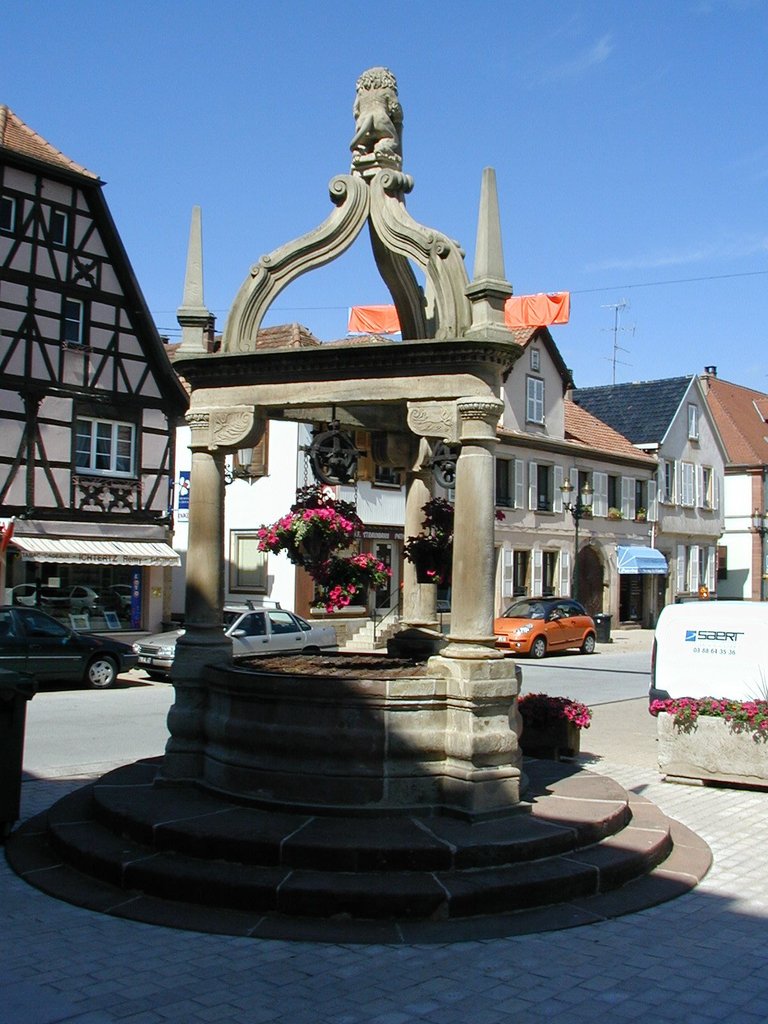 230-City well of Rosheim France.JPG