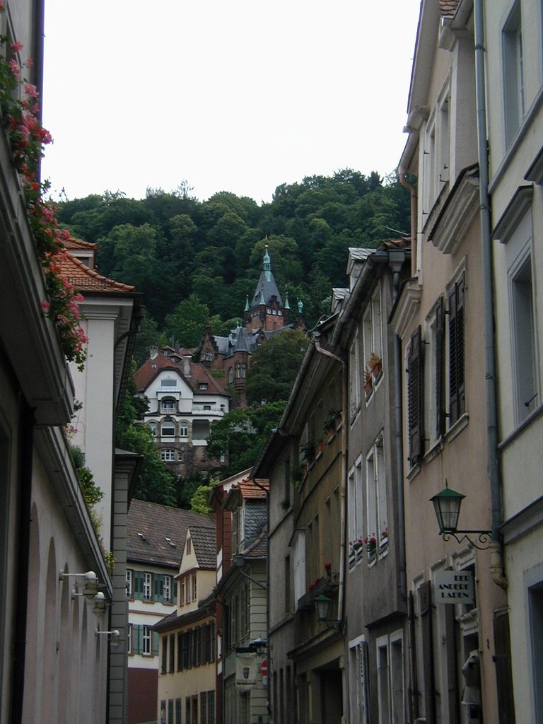 170-View up Heidelburg street.JPG